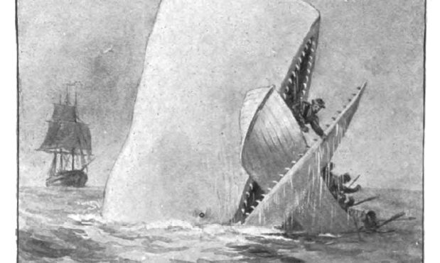 "Moby-Dick" by Augustus Burnham Shute (1892)