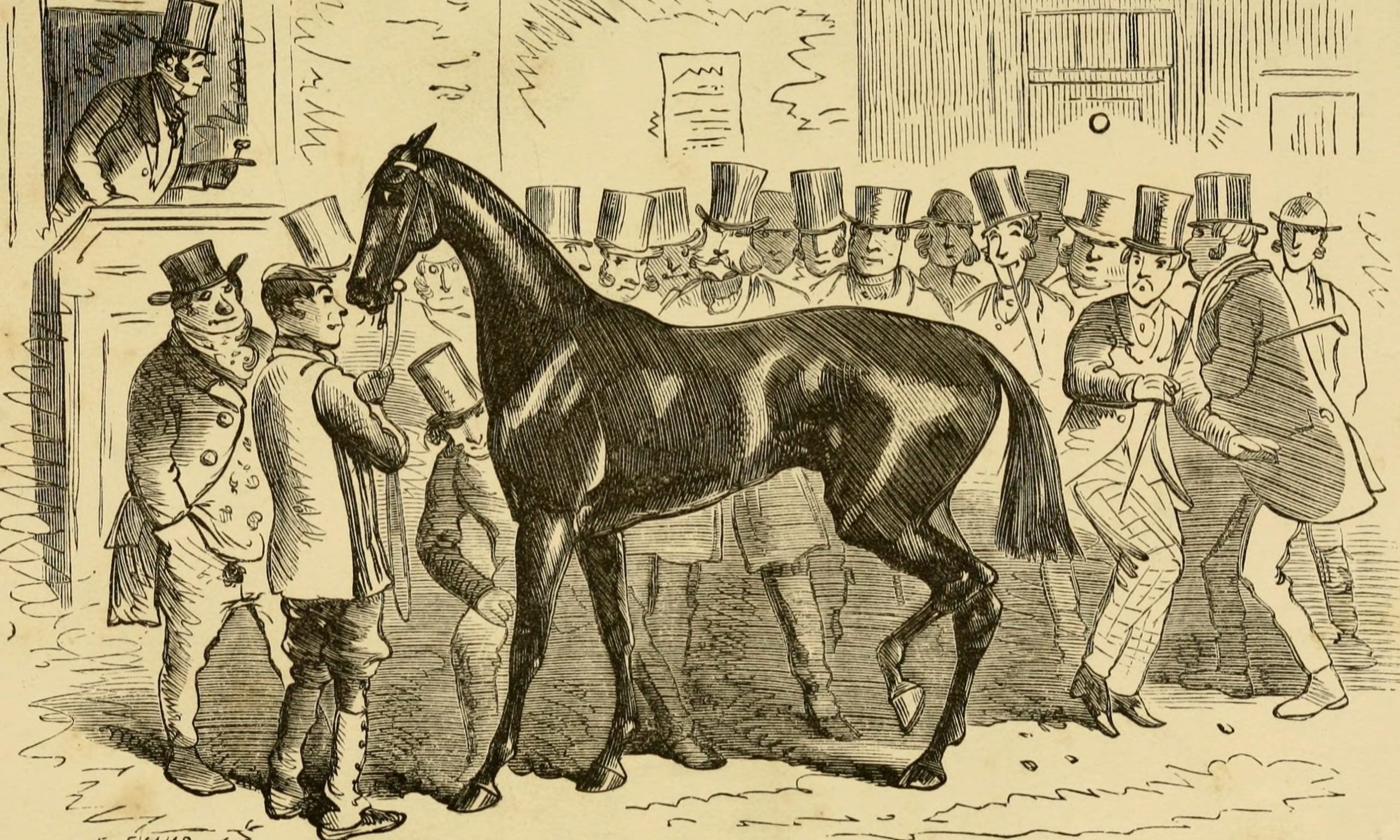 " The Life of a Racehorse" by John Mills (1861)