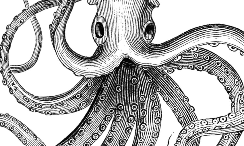 Octopus