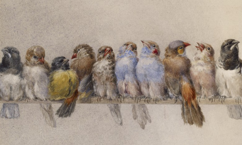 "A Perch of Birds" by Hector Giacomelli (1880)